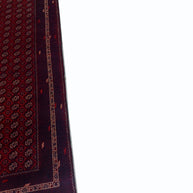 Roshnai Rug - 286 cm x 89 cm