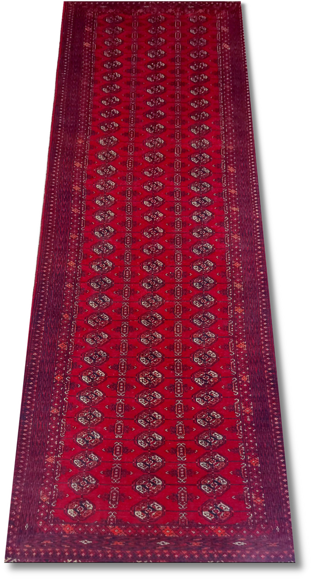 Roshnai Rug - 289 cm x 90 cm
