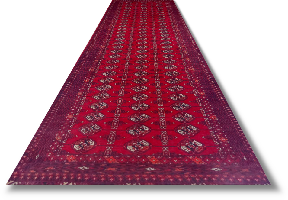 Roshnai Rug - 289 cm x 90 cm