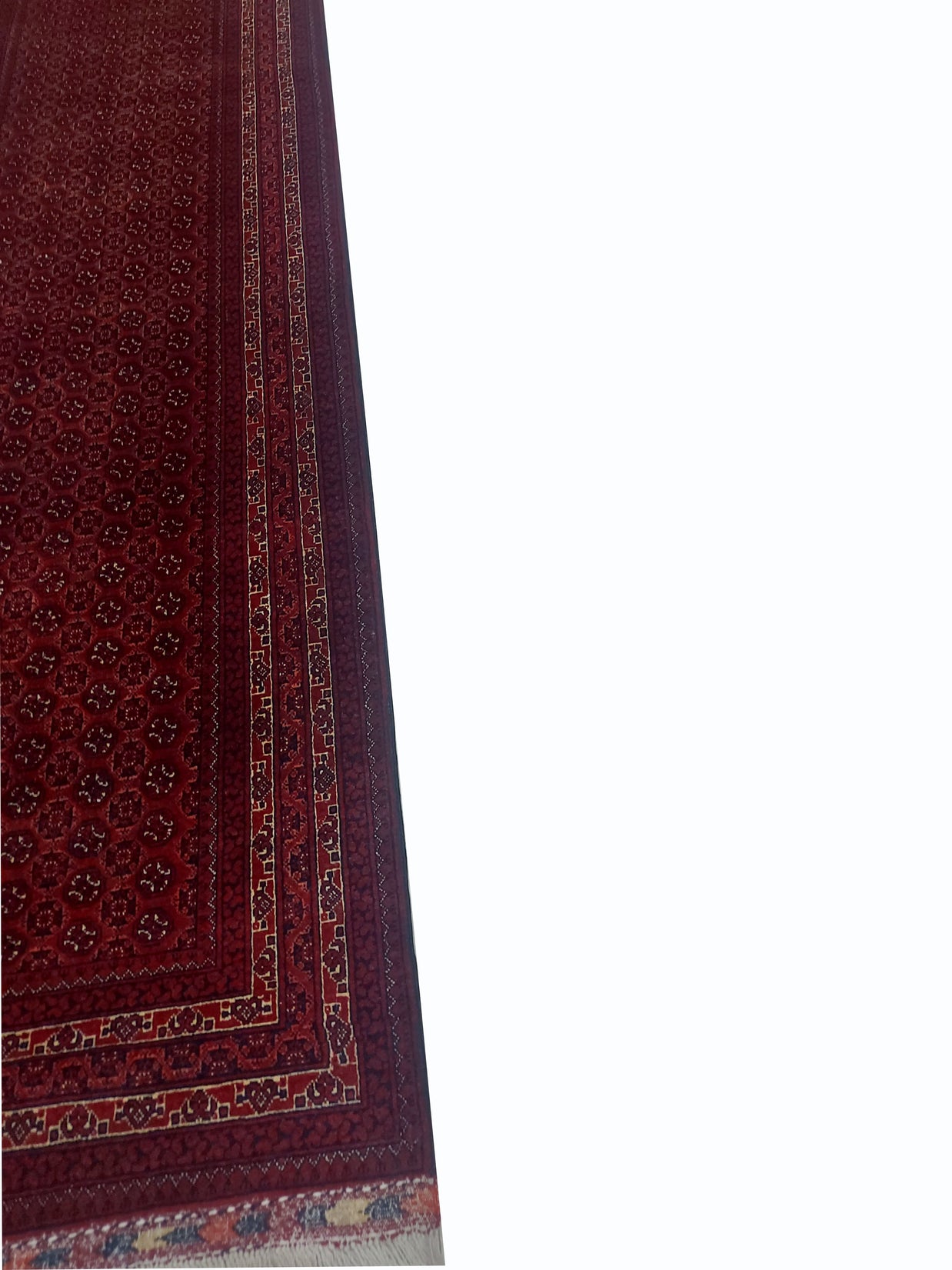 Roshnai Rug - 290 cm x 89 cm