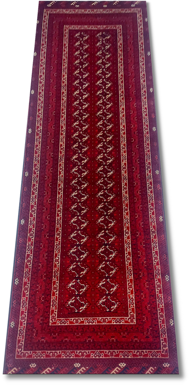 Roshnai Rug - 289 cm x 82 cm