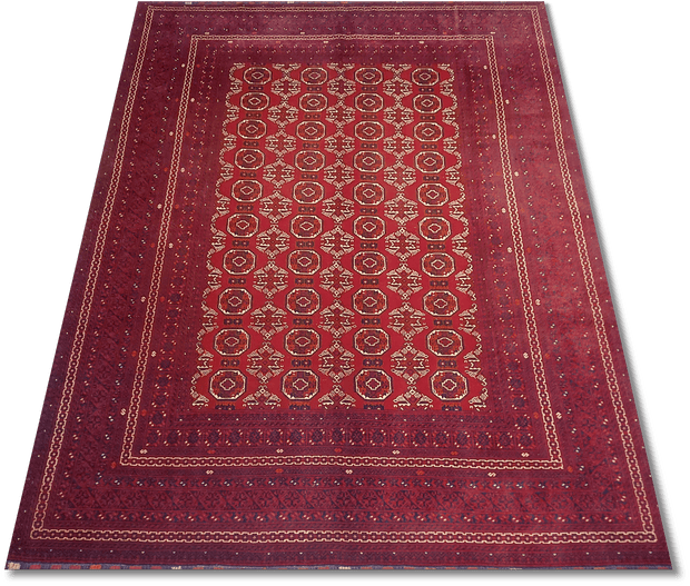Roshnai Rug - 293 cm x 190 cm