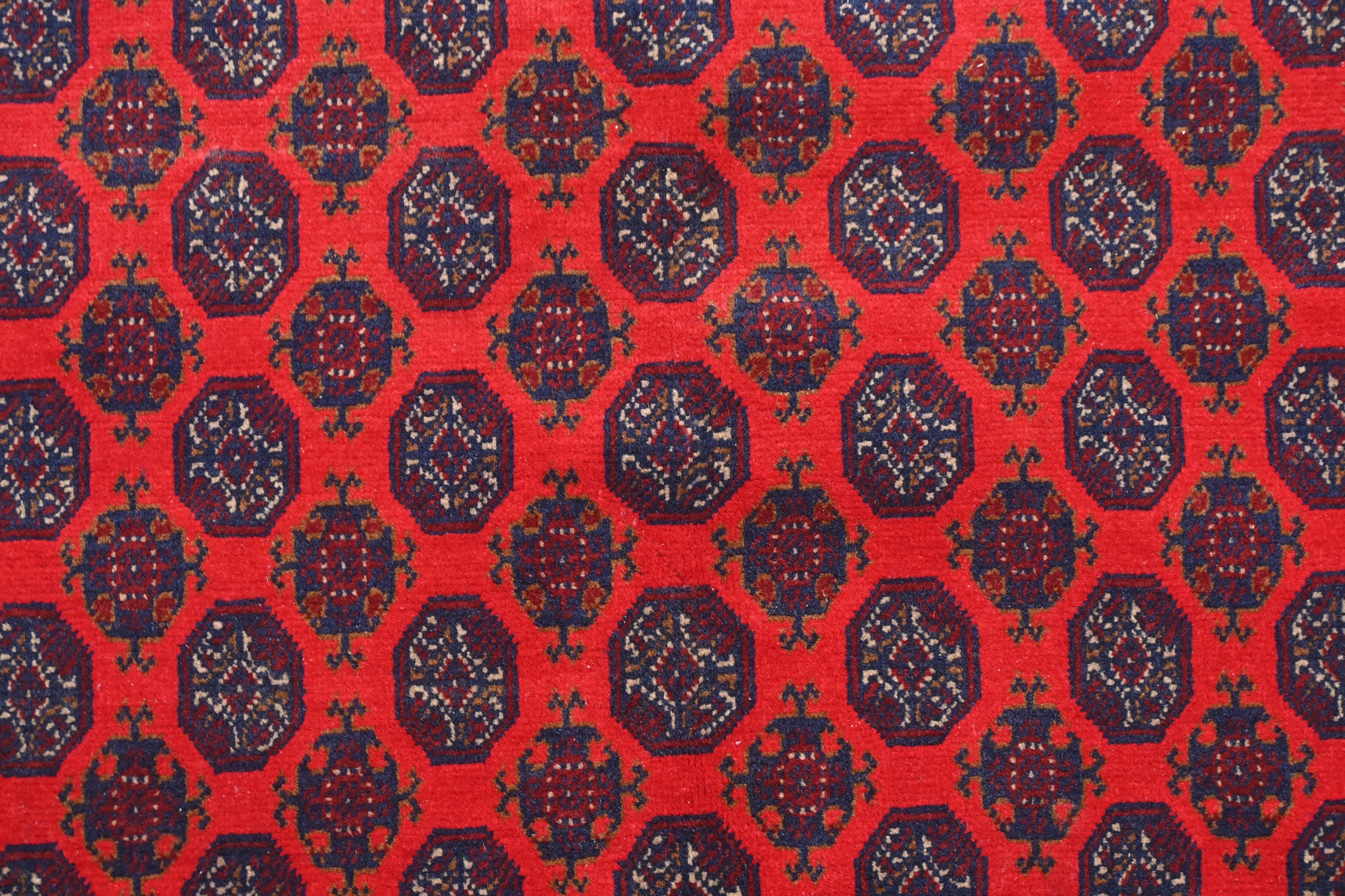 Roshnai Rug - 291 cm x 200 cm