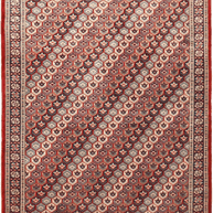 Shirvan Rug - 267 cm x 162 cm