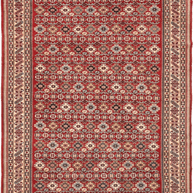 Shirvan Rug - 252 cm x 159 cm