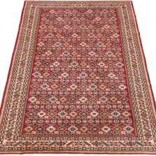 Shirvan Rug - 252 cm x 159 cm