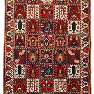 Bakhtiari Rug - 305 cm x 165 cm