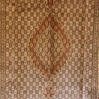 Persian Tabriz Silk and wool rug hand knotted 295cm x 200cm