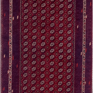 Roshnai Rug - 286 cm x 89 cm