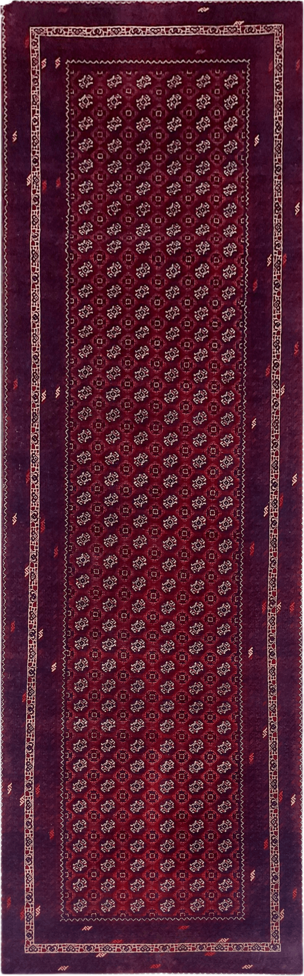 Roshnai Rug - 286 cm x 89 cm