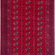 Roshnai Rug - 289 cm x 90 cm