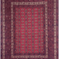 Beljik Rug - 285 cm x 212 cm