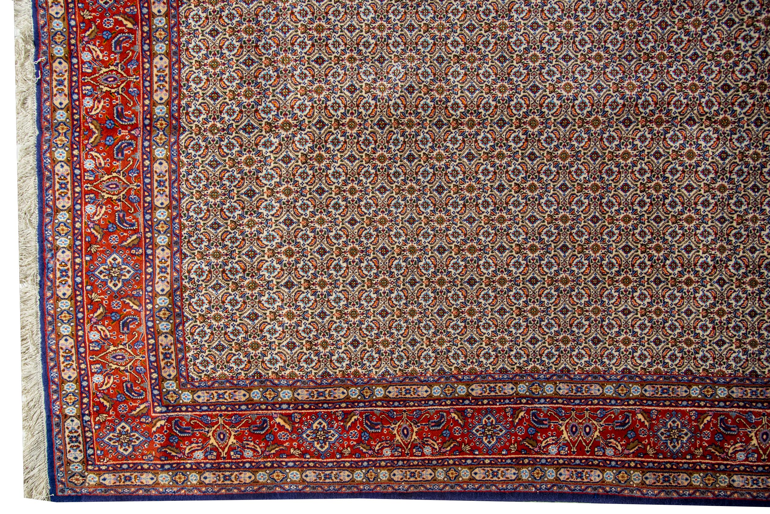 Moud Rug - 290 cm x 200 cm