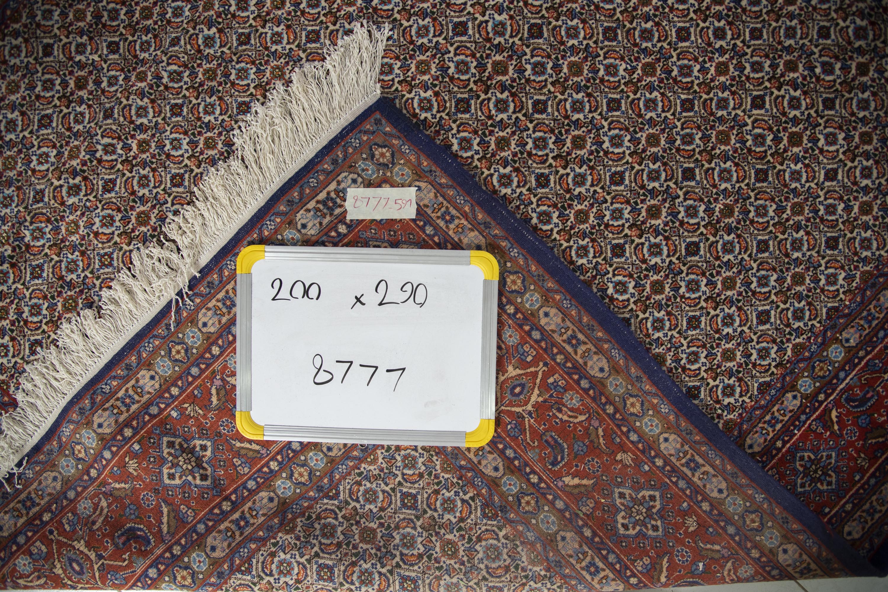 Moud Rug - 290 cm x 200 cm