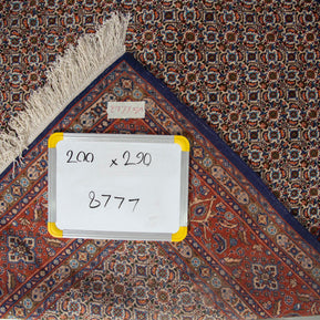 Moud Rug - 290 cm x 200 cm