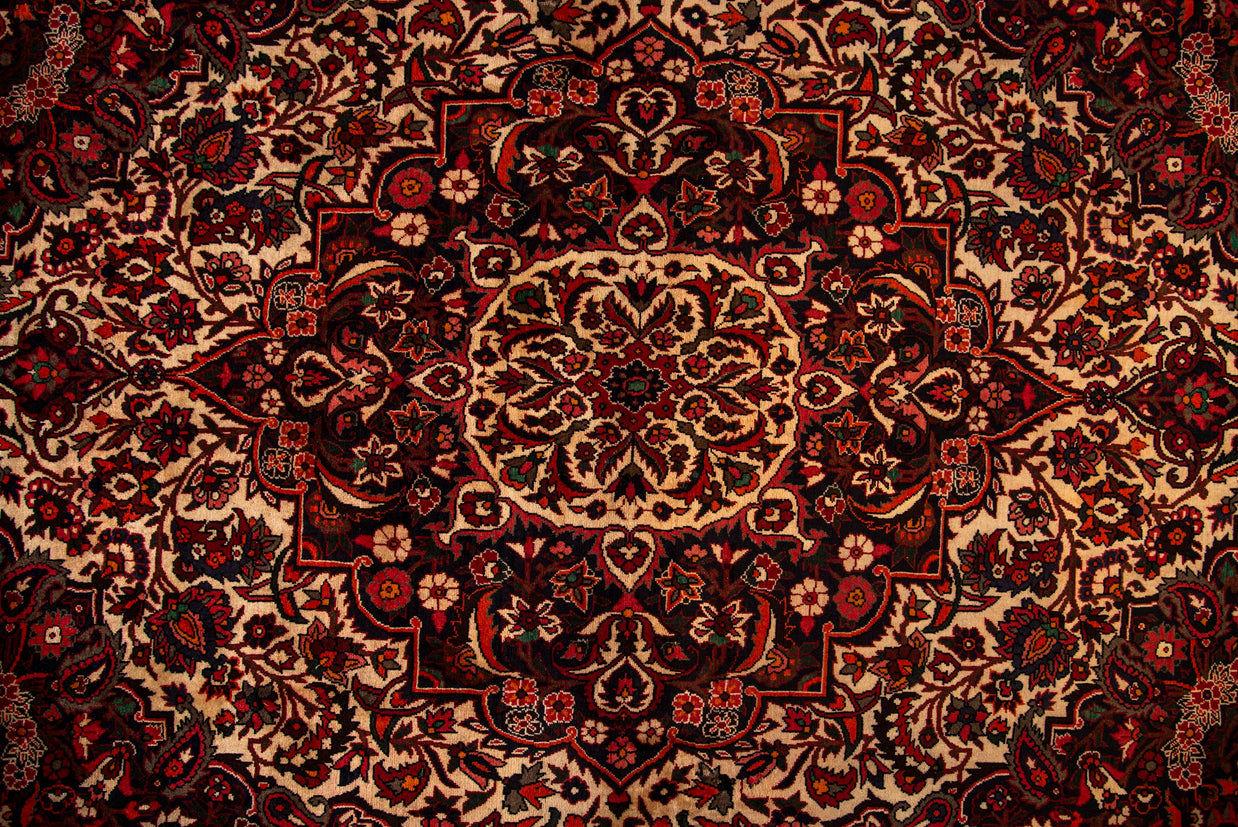 Bakhtiari Rug - 313 cm x 220 cm