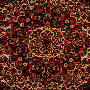 Bakhtiari Rug - 313 cm x 220 cm