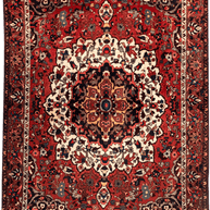 Bakhtiari Rug - 310 cm x 200 cm