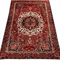 Bakhtiari Rug - 310 cm x 200 cm