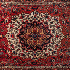 Bakhtiari Rug - 310 cm x 200 cm