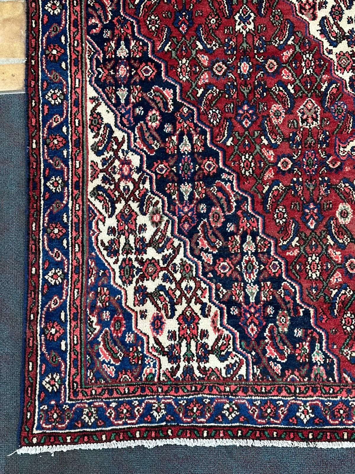 Hamadan Rug  - 303 cm x 213 cm