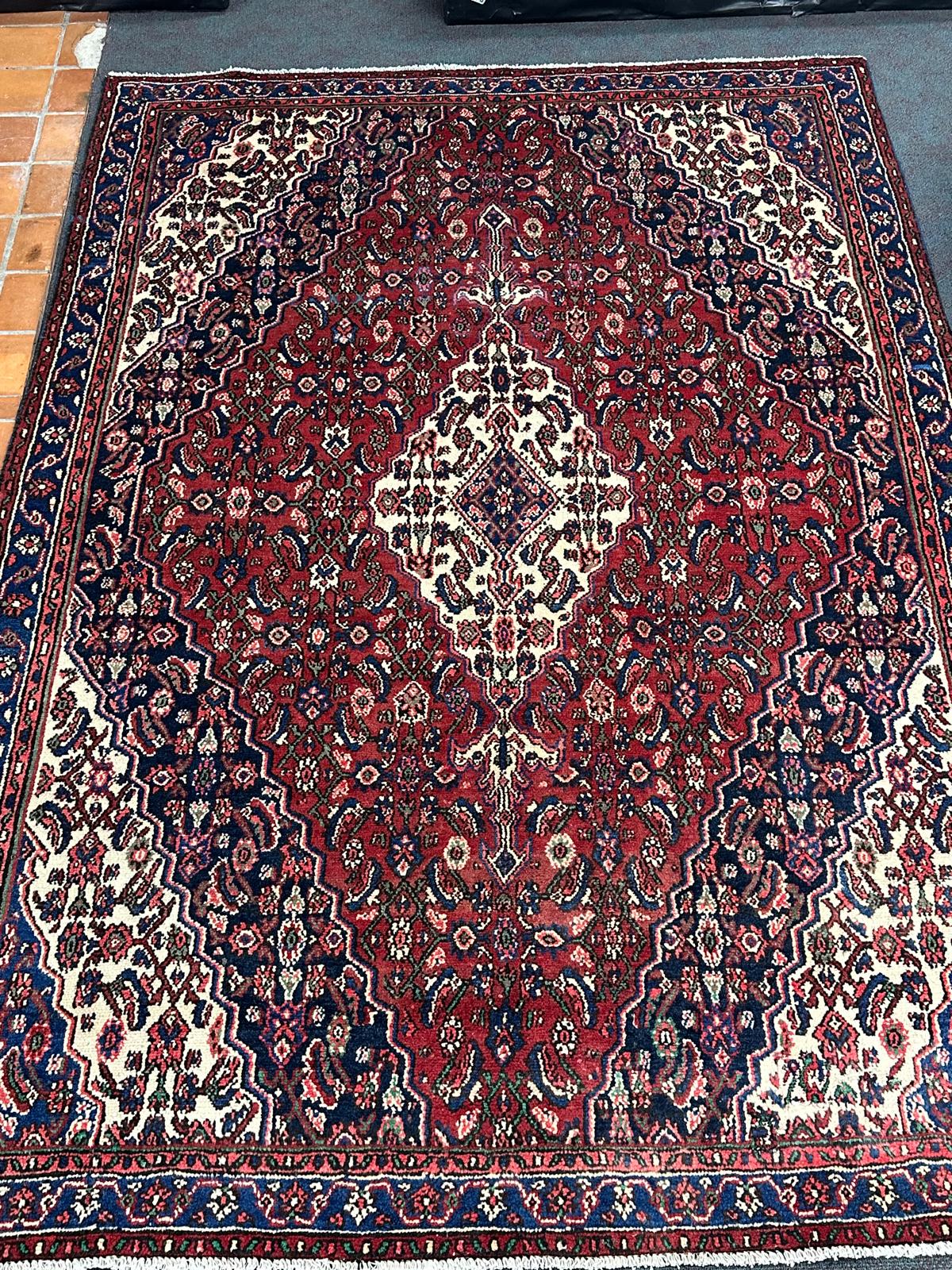 Hamadan Rug  - 303 cm x 213 cm