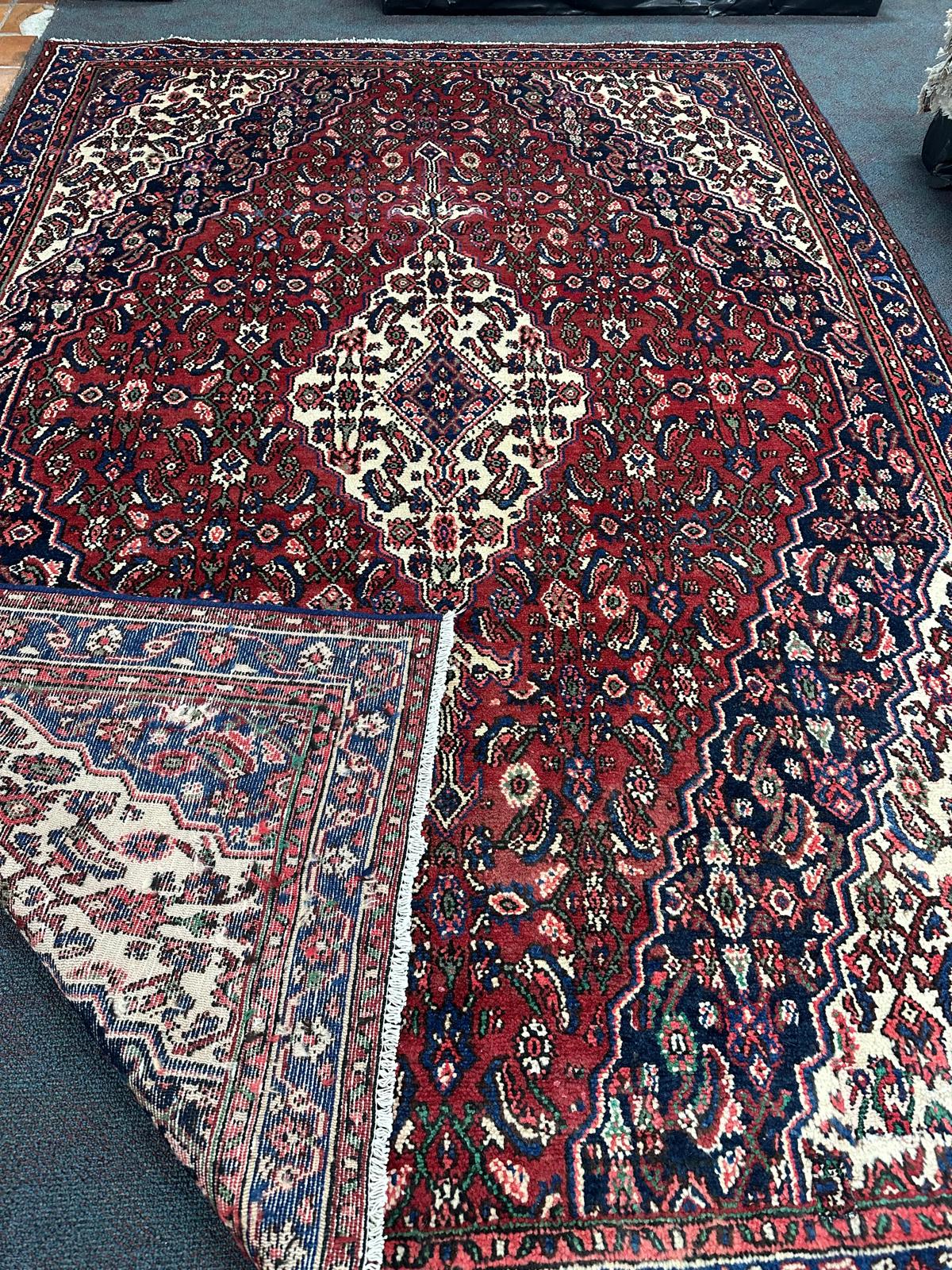 Hamadan Rug  - 303 cm x 213 cm