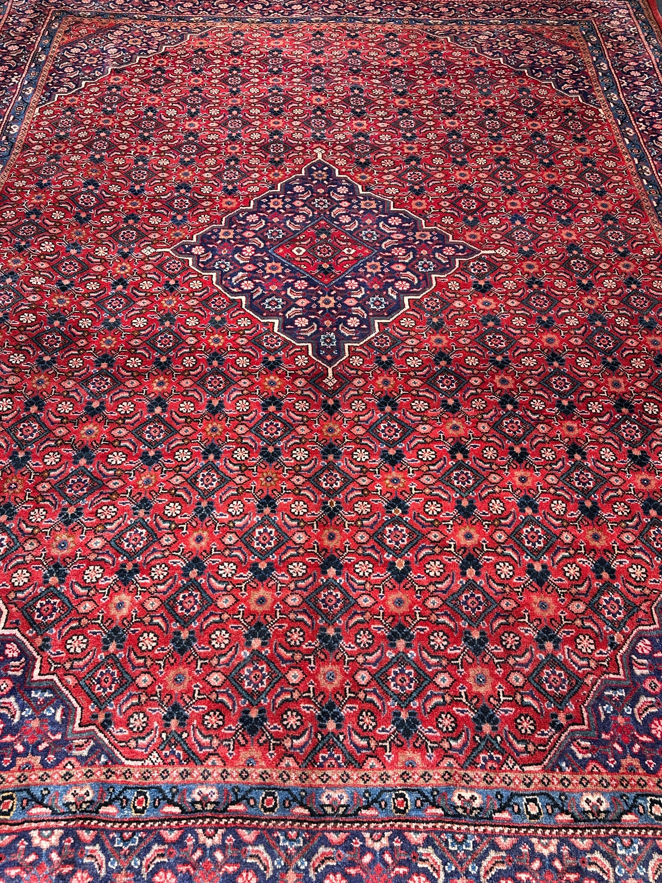 Arak Rug - 410 cm x 312 cm