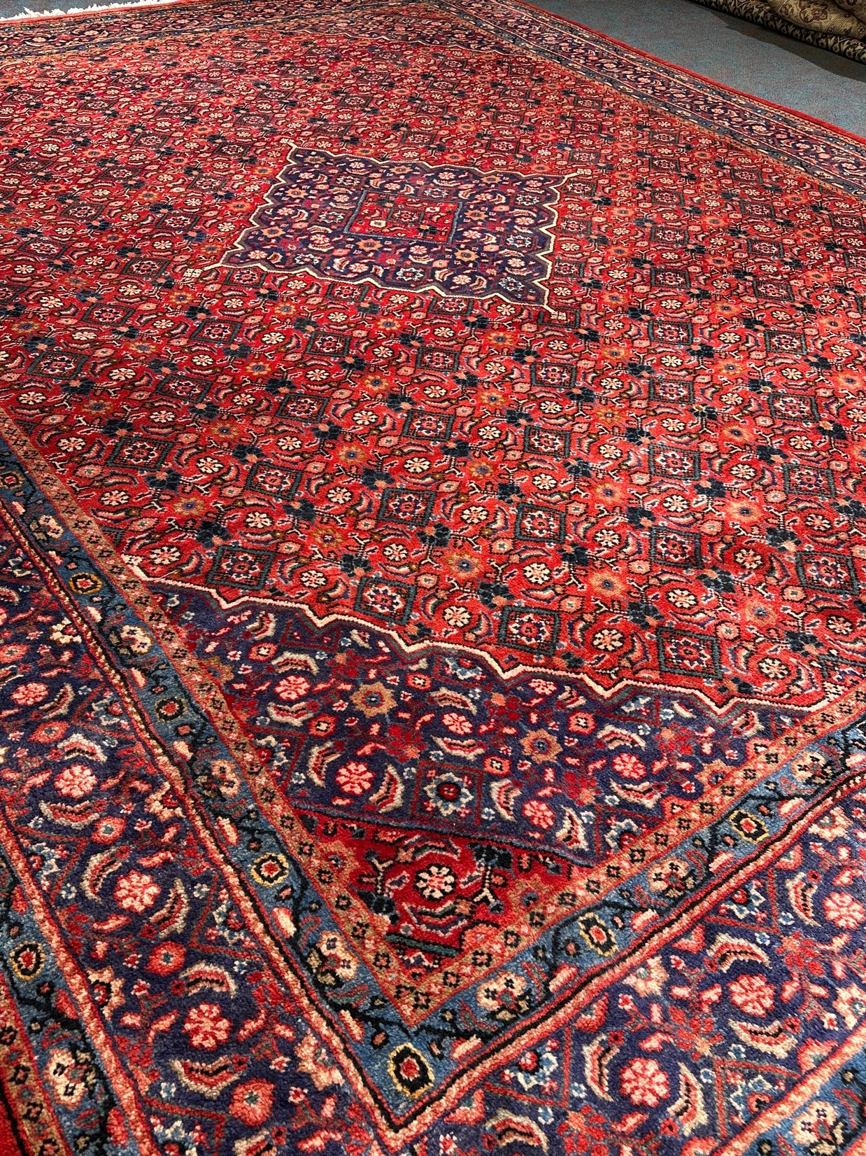 Arak Rug - 410 cm x 312 cm