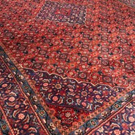 Arak Rug - 410 cm x 312 cm