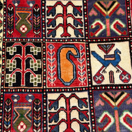 Bakhtiari Rug - 295 cm x 210 cm