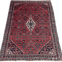 Hamadan Rug - 284 cm x 186 cm