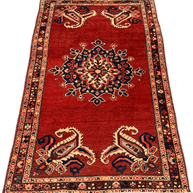Hamadan Rug  - 300 cm x 175 cm