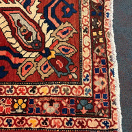 Hamadan Rug  - 300 cm x 175 cm