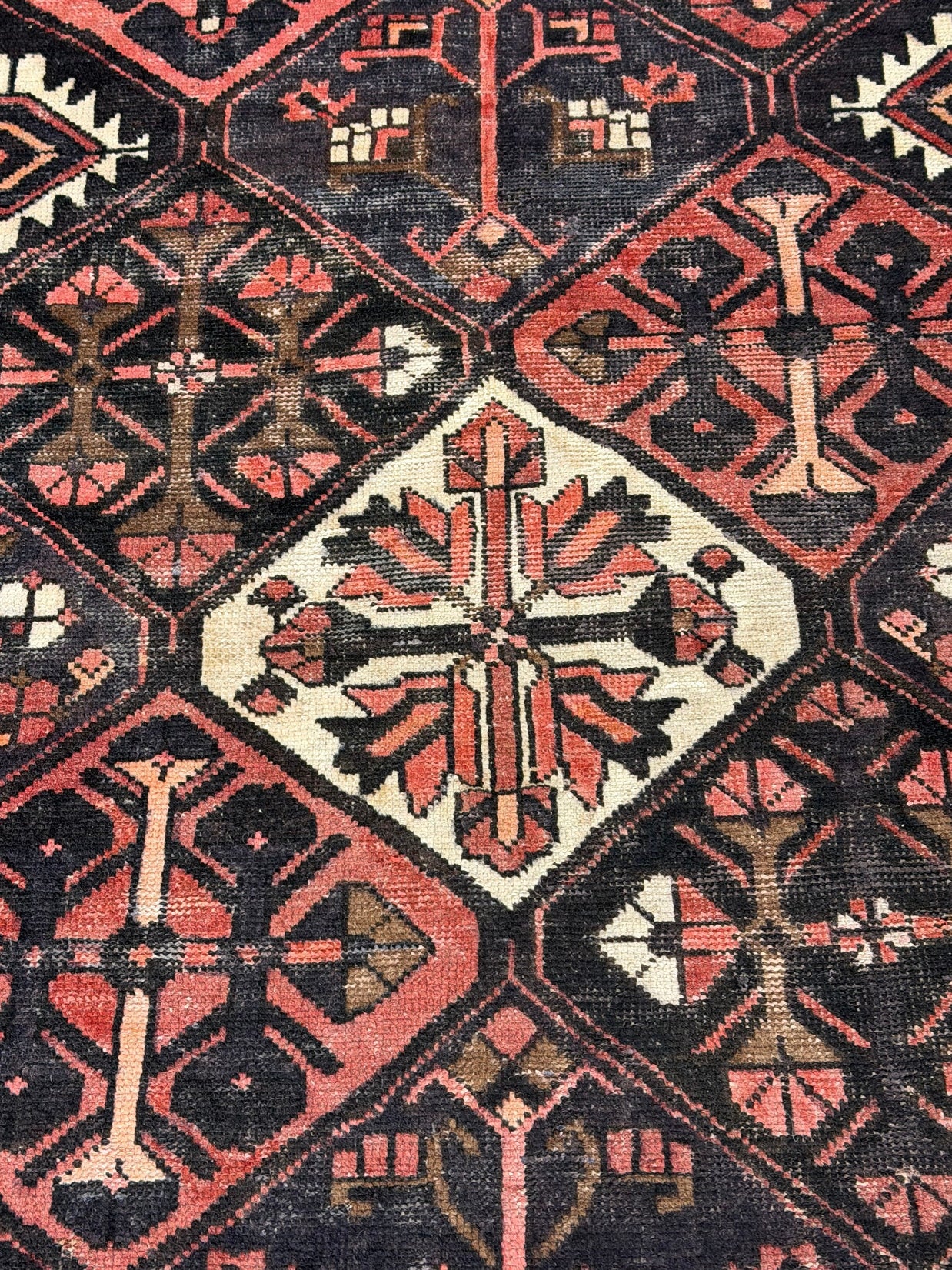 Bakhtiari Rug  - 297 cm x 200 cm
