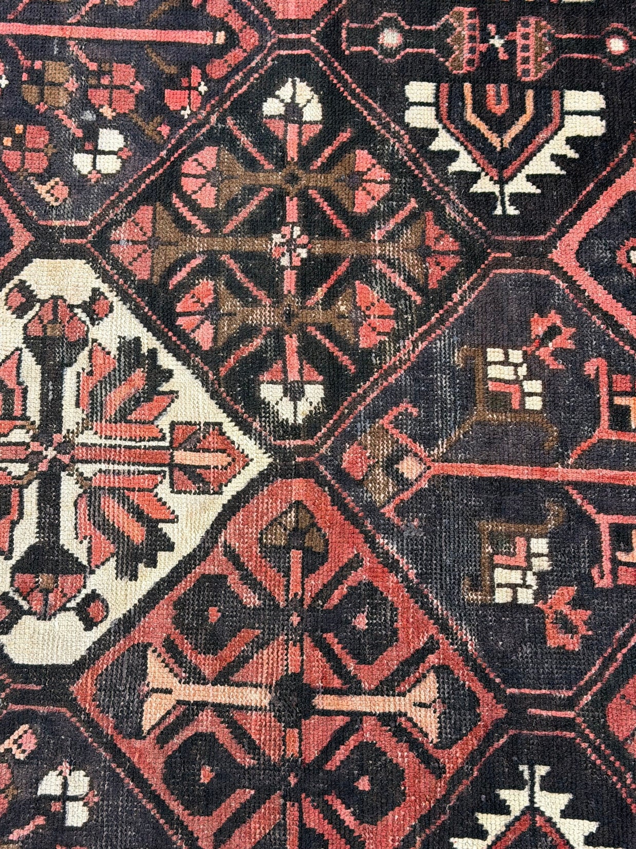 Bakhtiari Rug  - 297 cm x 200 cm