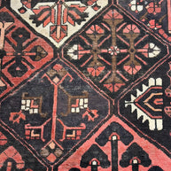 Bakhtiari Rug  - 297 cm x 200 cm