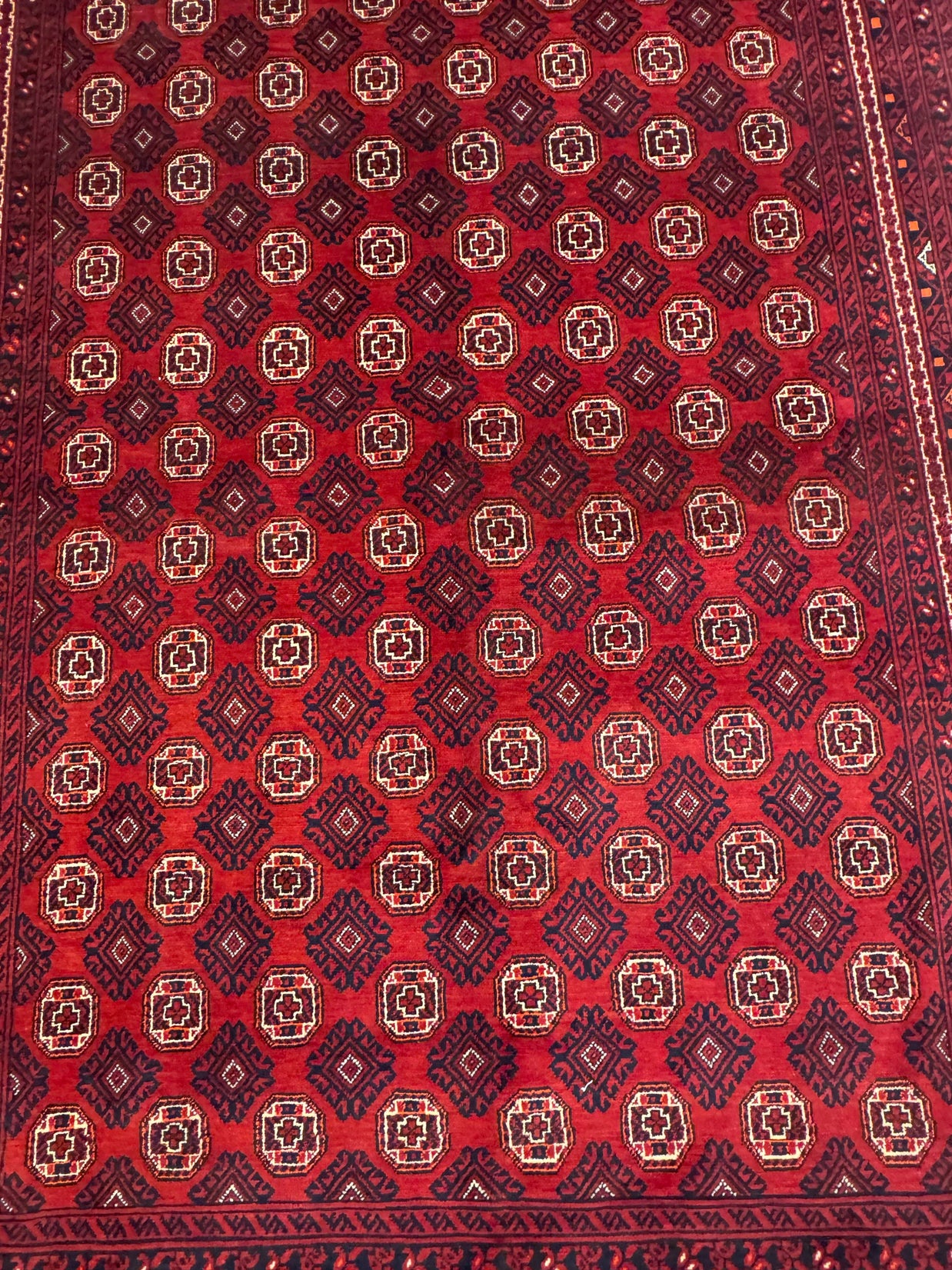 Turkoman (Fine) - 297 cm x 207 cm