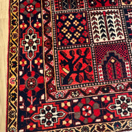 Bakhtiari Rug - 310 cm x 210 cm