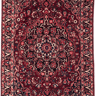 Bakhtiari Rug - 310 cm x 205 cm