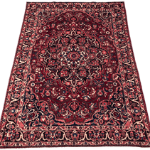 Bakhtiari Rug - 310 cm x 205 cm