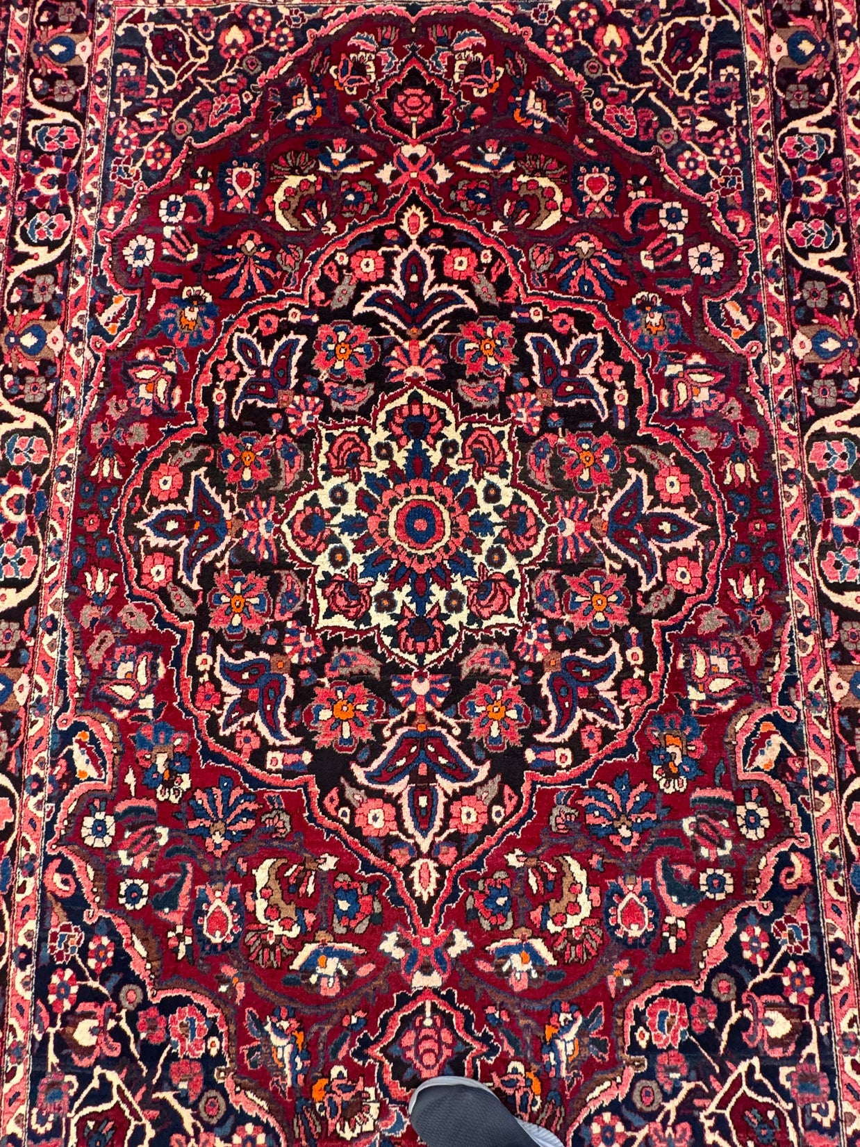 Bakhtiari Rug - 310 cm x 205 cm
