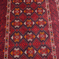 Roshnai Rug - 293 cm x 207 cm