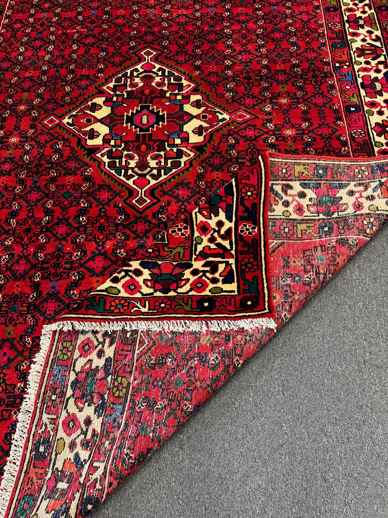 Lilihan Rug - 290 cm x 205 cm