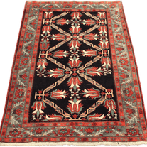 Sirjan Rug - 228 cm x 150 cm