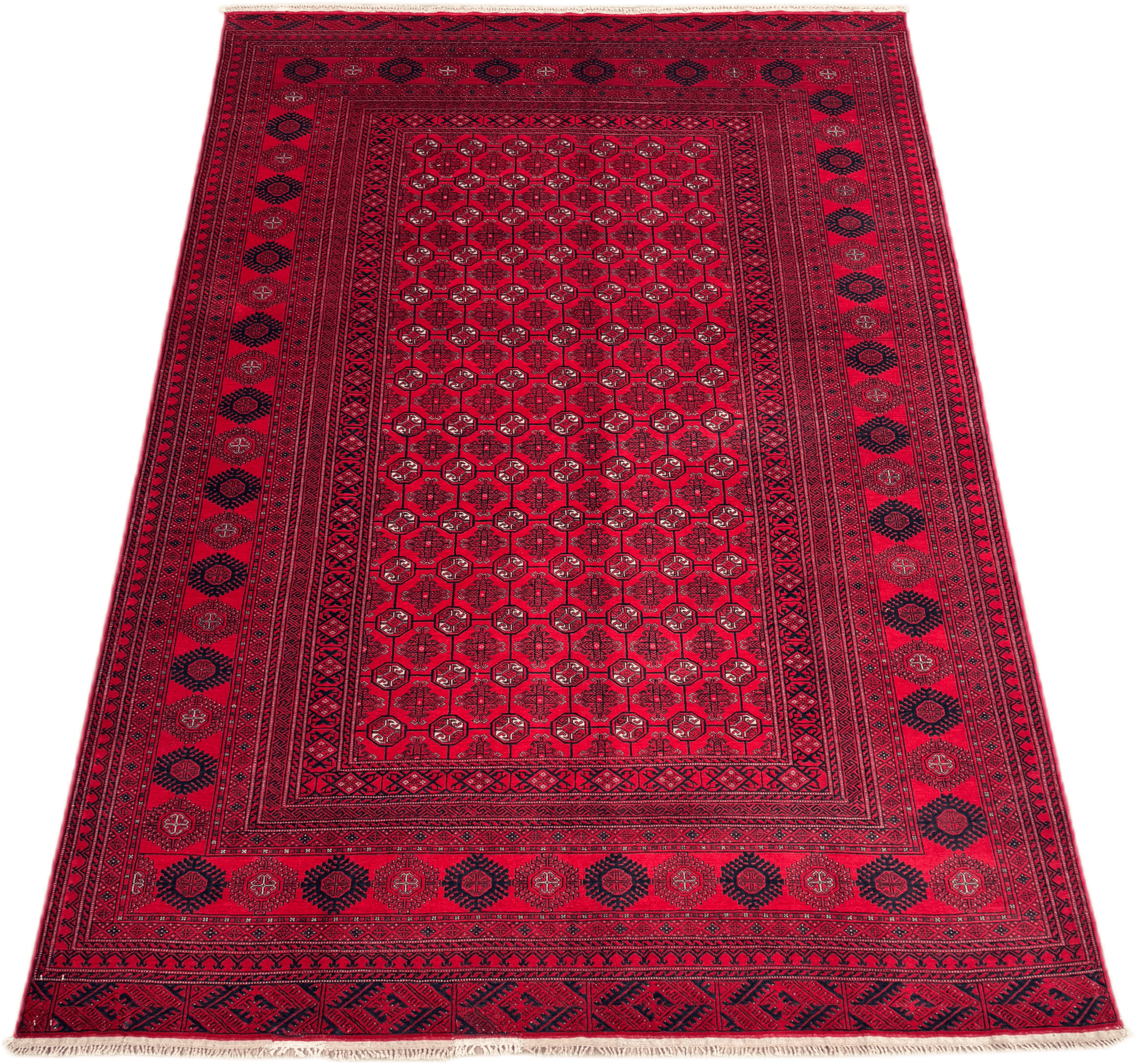 Roshnai Rug - 293 cm x 192 cm