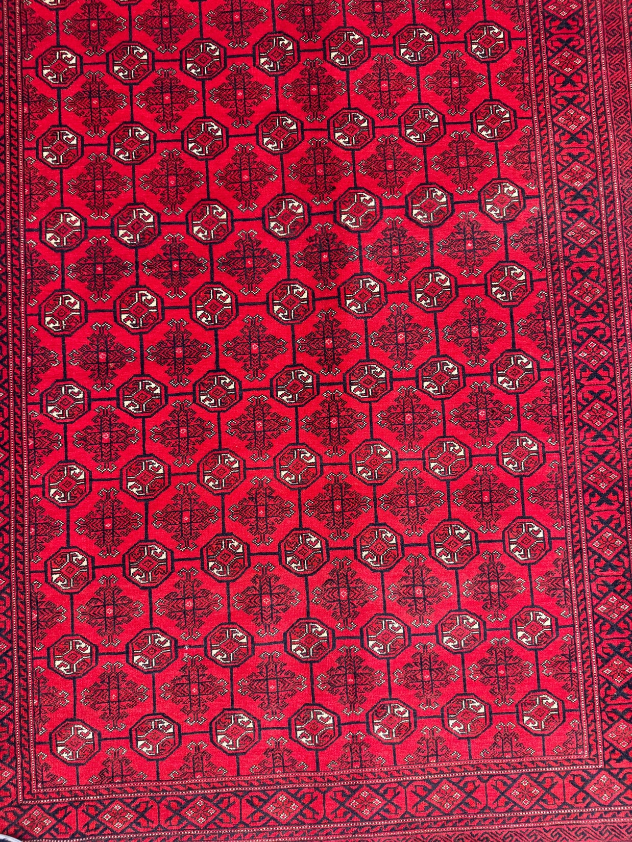 Roshnai Rug - 293 cm x 192 cm