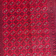 Roshnai Rug - 293 cm x 192 cm