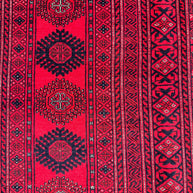 Roshnai Rug - 293 cm x 192 cm