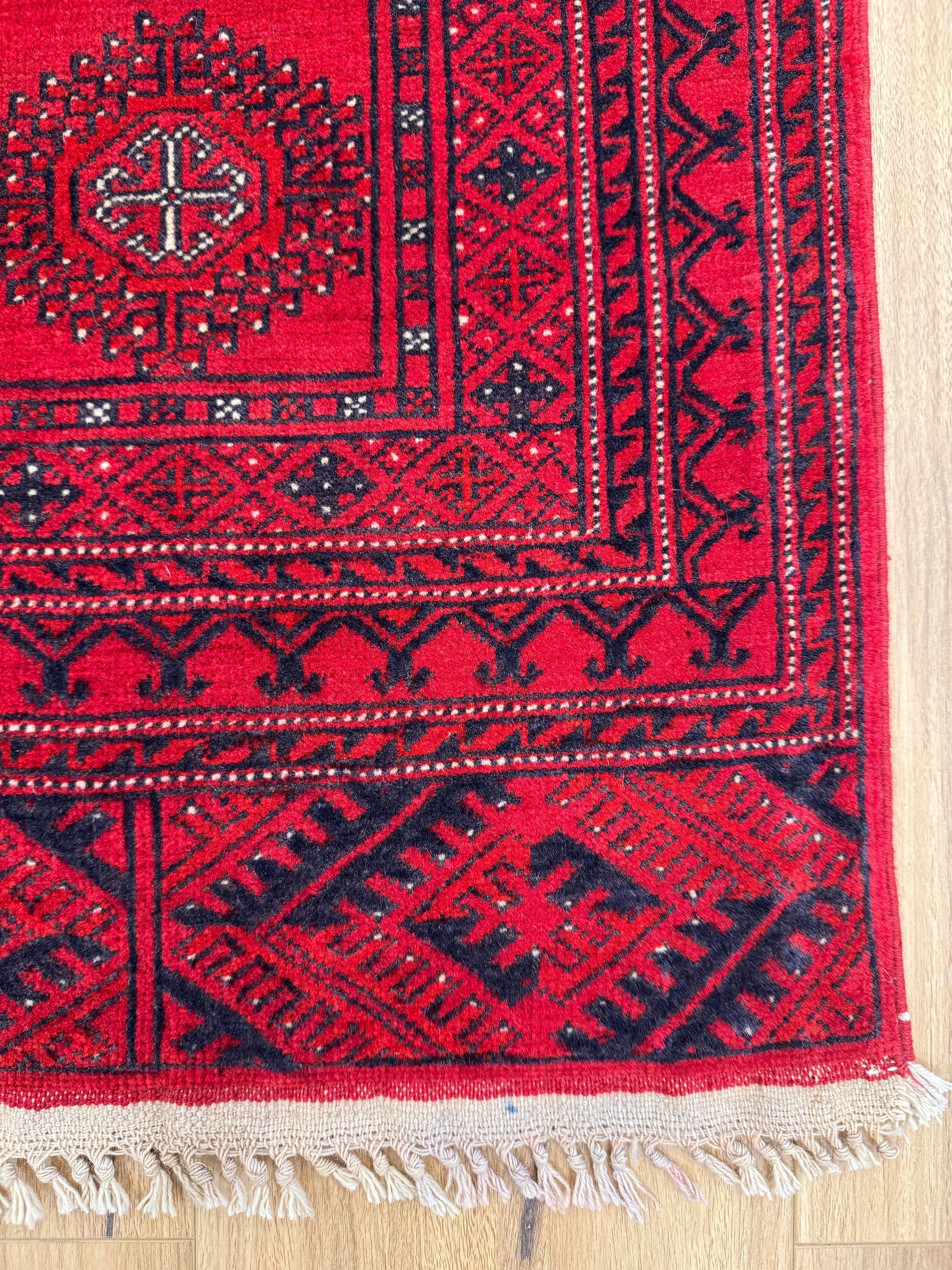 Roshnai Rug - 293 cm x 192 cm